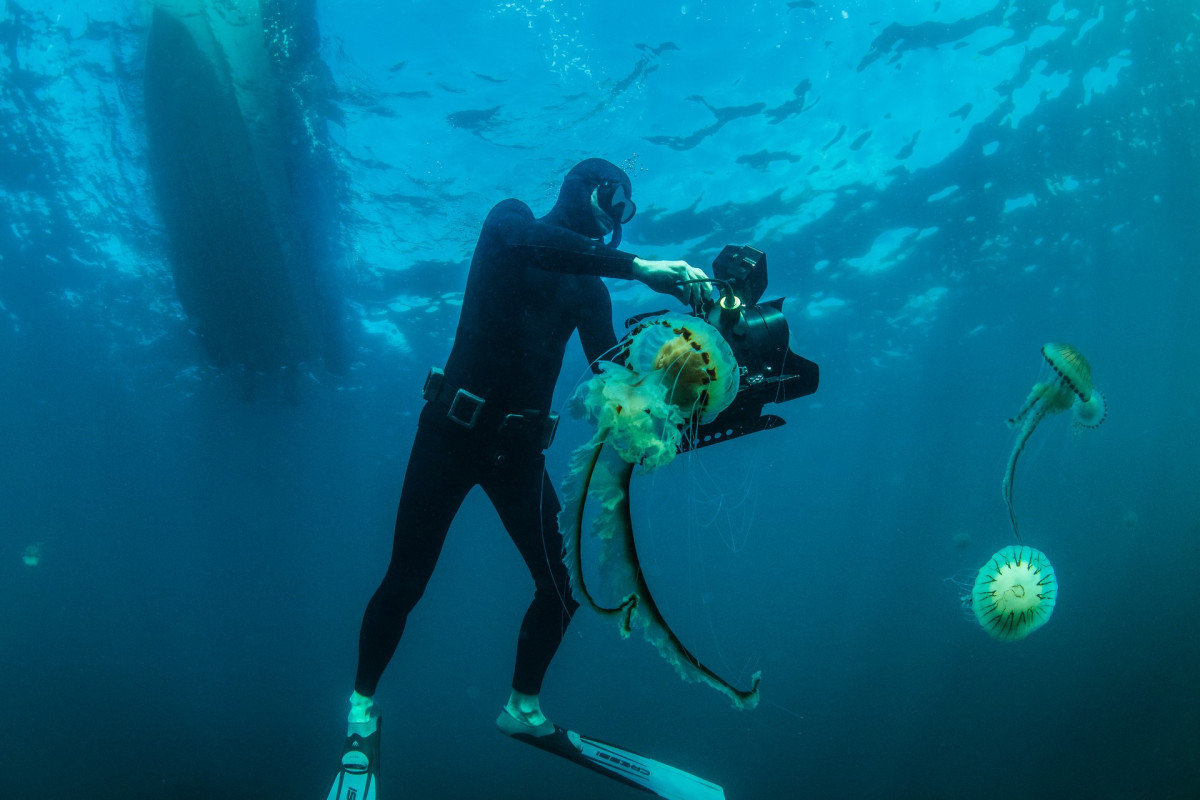 Sea Fever Productions