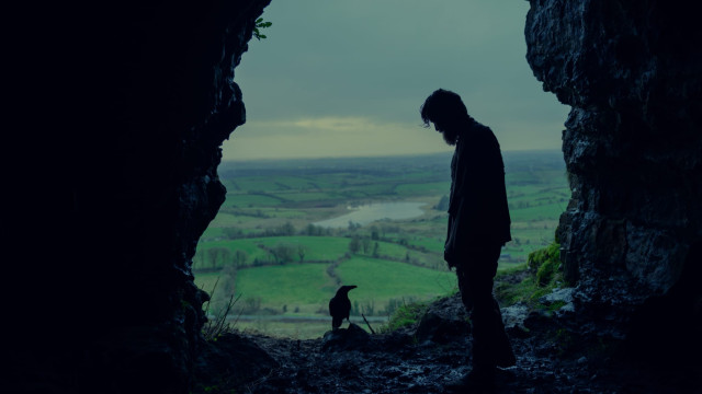 Hal Pictures Limited