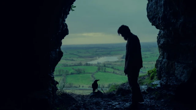 Hal Pictures Limited